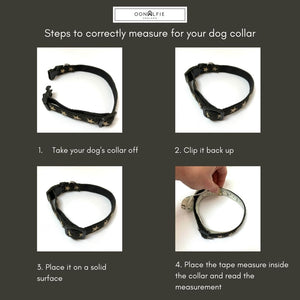 Luxury Rope Dog Collar - Cretean Adventure