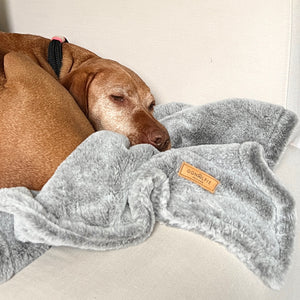 Luxury Dog Blanket